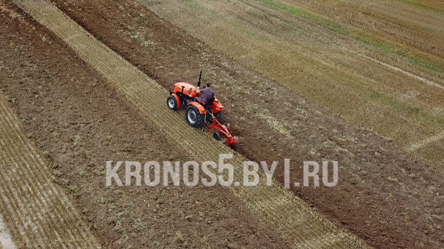 Плуг Wirax | Виракс (Огородник | Оgorodnik) 2,20